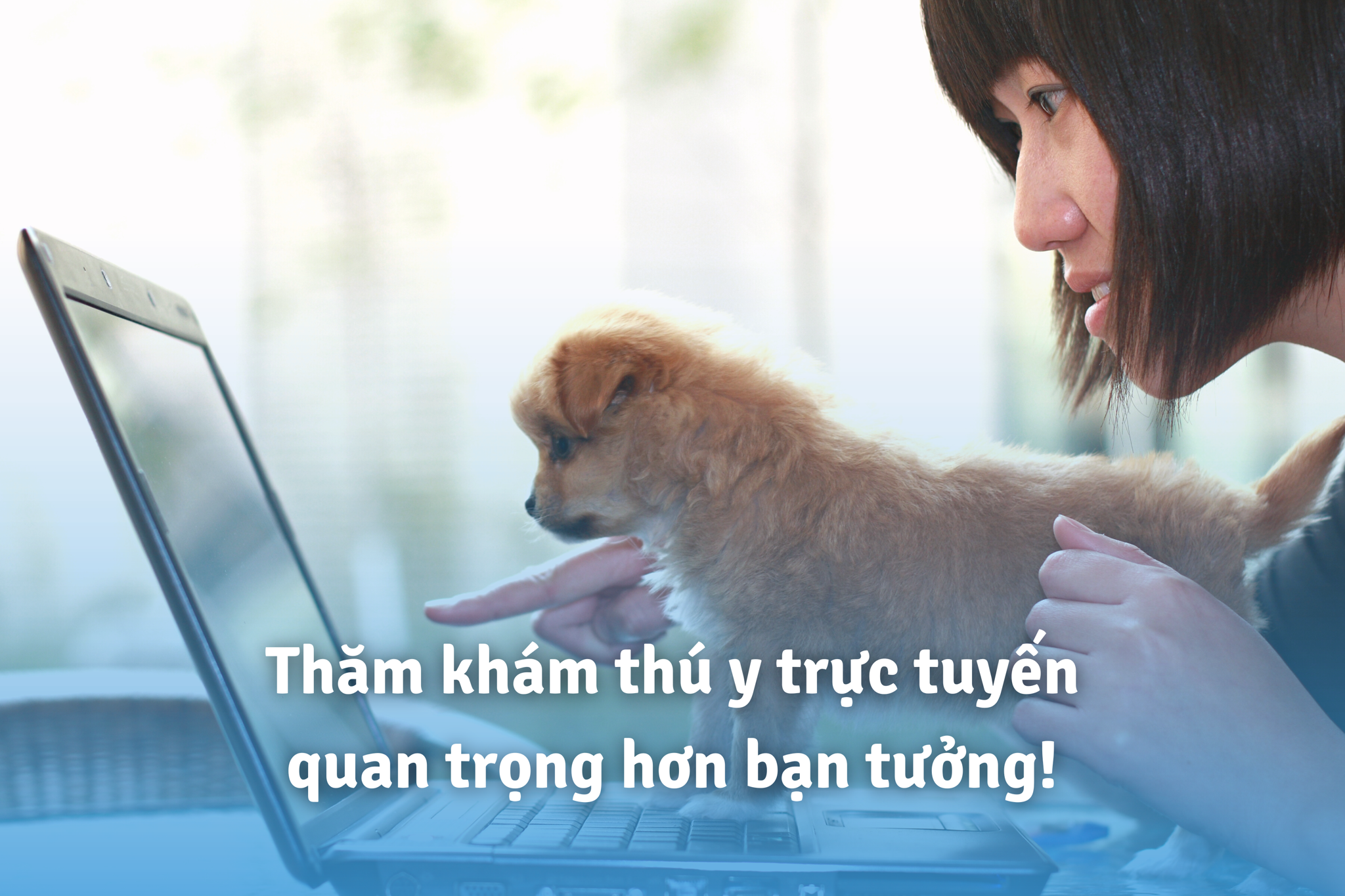 Alo Bác Sĩ Thú Y - Khi Mọi Nơi Cùng Thú Cưng Đều Là Nhà