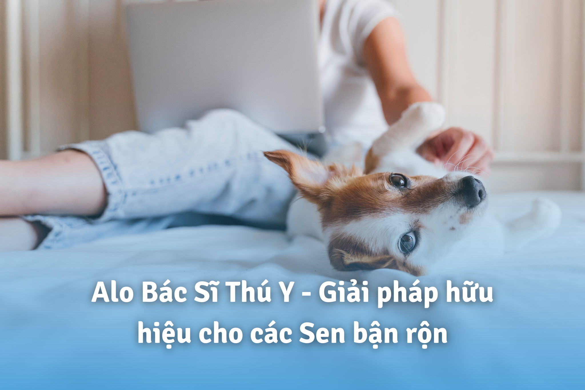 Alo Bác Sĩ Thú Y - Khi Mọi Nơi Cùng Thú Cưng Đều Là Nhà