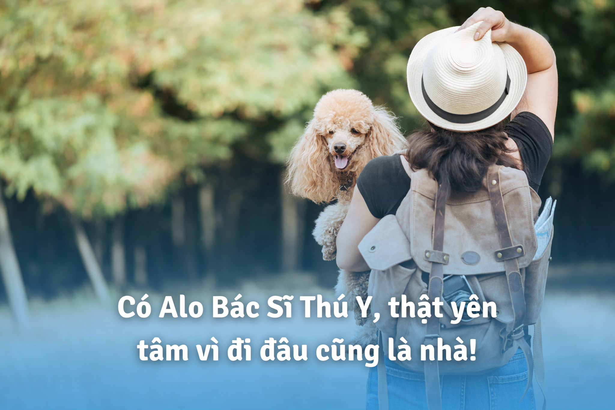 Alo Bác Sĩ Thú Y - Giải pháp an toàn sức khỏe cho mái ấm của bạn và thú cưng