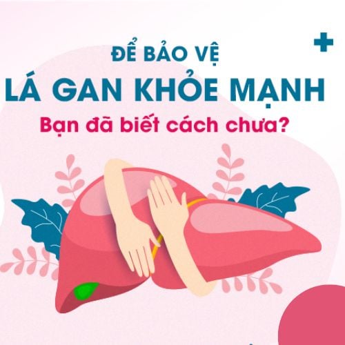 Những Điều Cần Biết Để Bảo Vệ Lá Gan Của Bạn