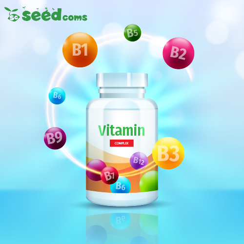 Vitamin B: Bí Quyết Cho Một Cuộc Sống Khỏe Mạnh