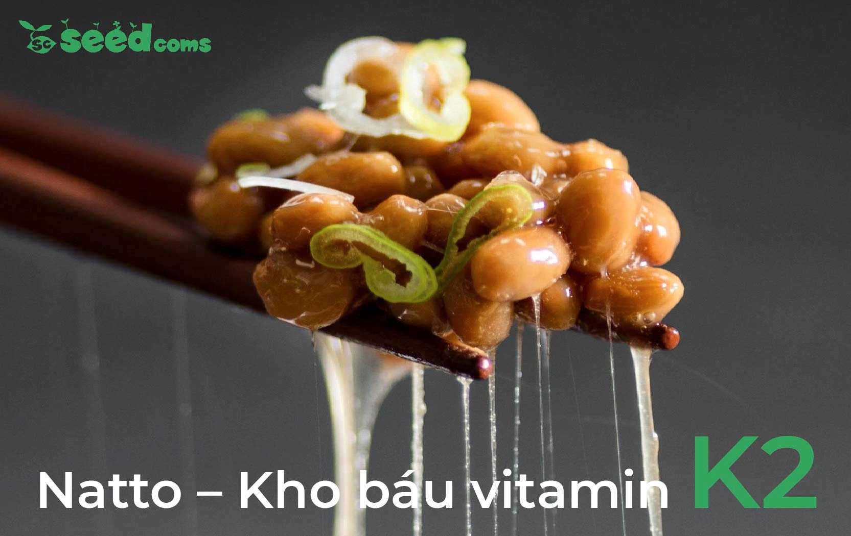 Vitamin K – Dưỡng Chất Thiết Yếu Cho Cơ Thể