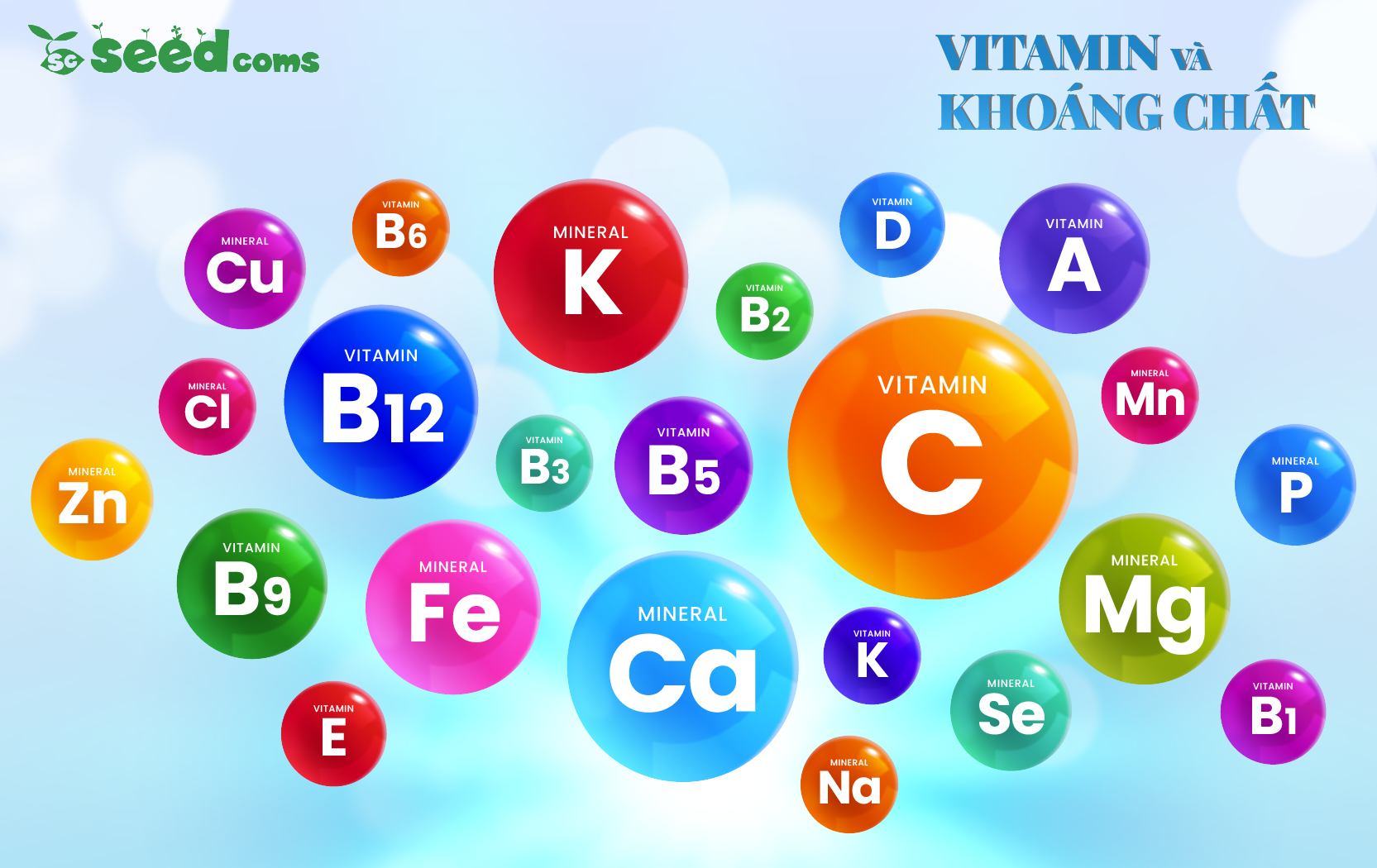 Khám Phá Thế Giới Vitamin và Khoáng Chất
