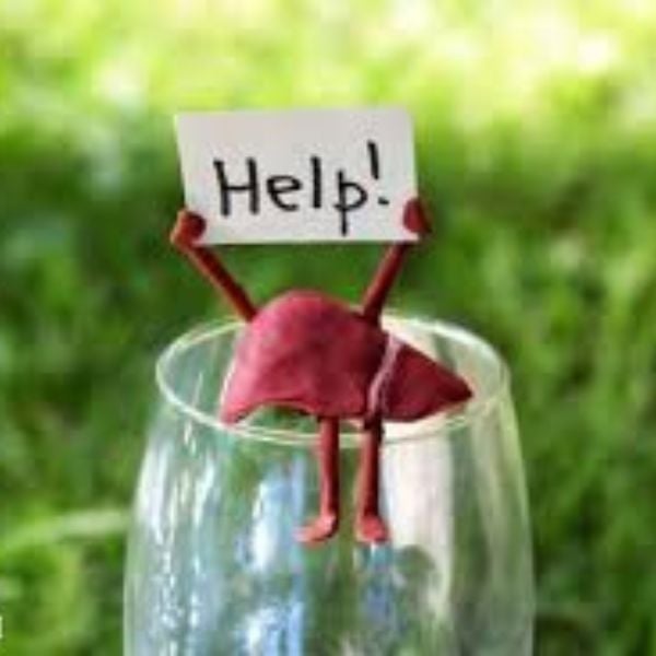 Vì Sao Gan Dễ Bị Nóng?