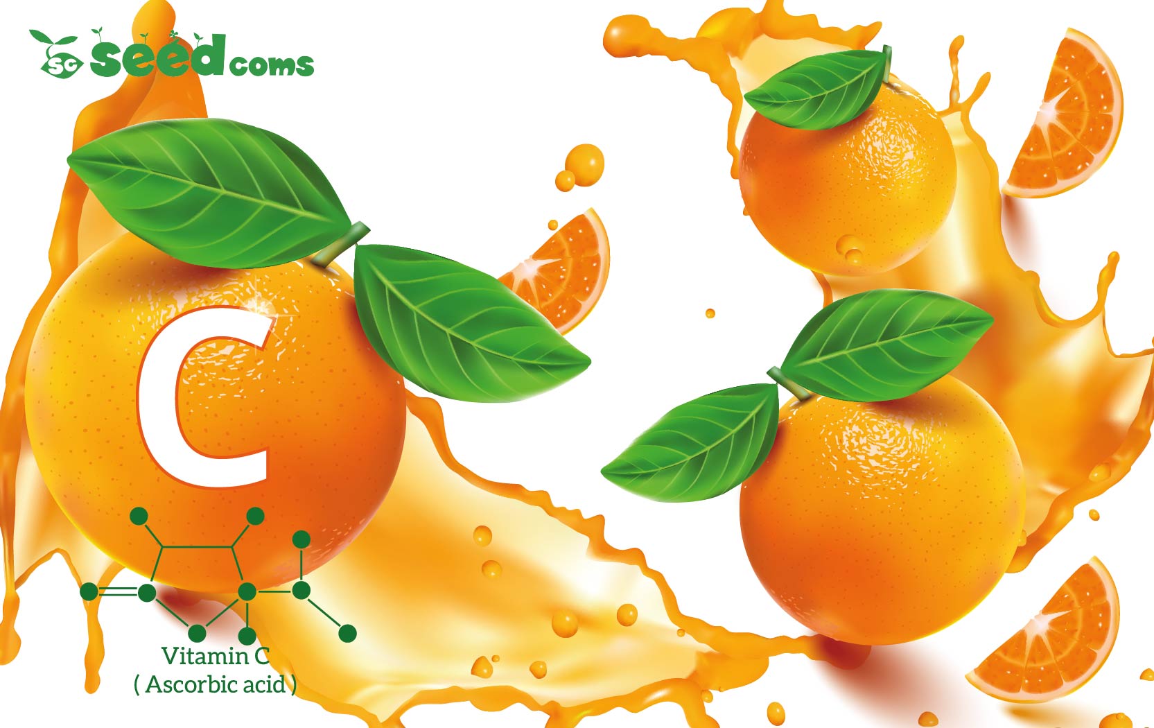 Vitamin C Và Những Điều Cần Lưu Ý