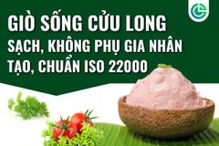 Giò Sống Cửu Long – Nền Tảng Hương Vị Tinh Khiết Cho Bữa Cơm Việt, Không Phụ Gia Nhân Tạo, Đạt Chuẩn ISO 22000