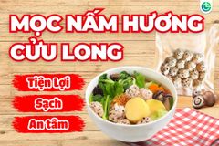 Mọc Nấm Hương Cửu Long – Giải Pháp Tiện Lợi Cho Bữa Ăn Ngon, Lành, Không Phụ Gia Nhân Tạo, An Tâm Chất Lượng Chuẩn Mực 40 Năm