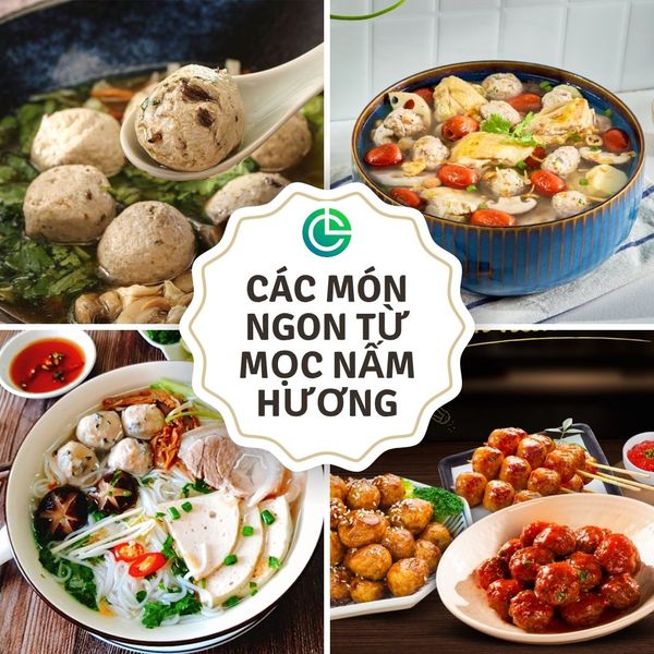 Các món ngon từ mọc nấm hương: canh mọc, bún mọc, lẩu mọc nấm hương, mọc chiên.