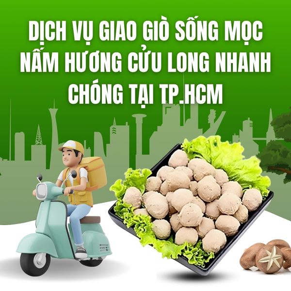 Dịch vụ giao giò sống mọc nấm hương Cửu Long nhanh chóng tại TP.HCM.