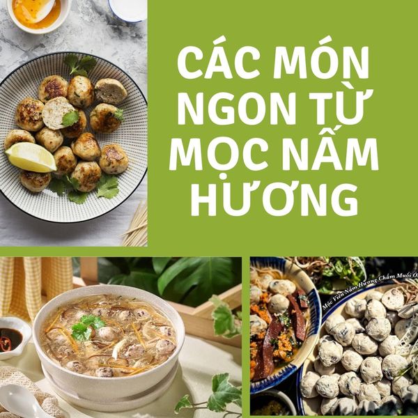 Các món ngon từ mọc nấm hương: canh mọc, bún mọc, lẩu mọc nấm hương, mọc chiên.