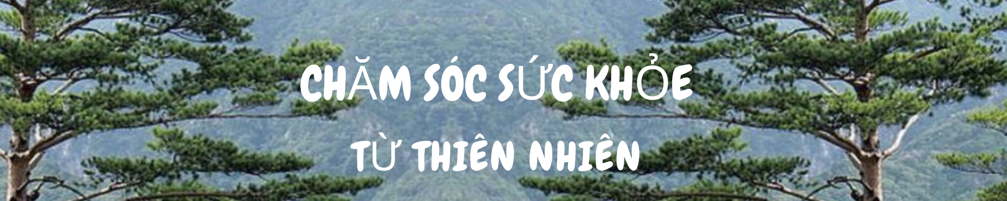 Cao Hắc Sâm