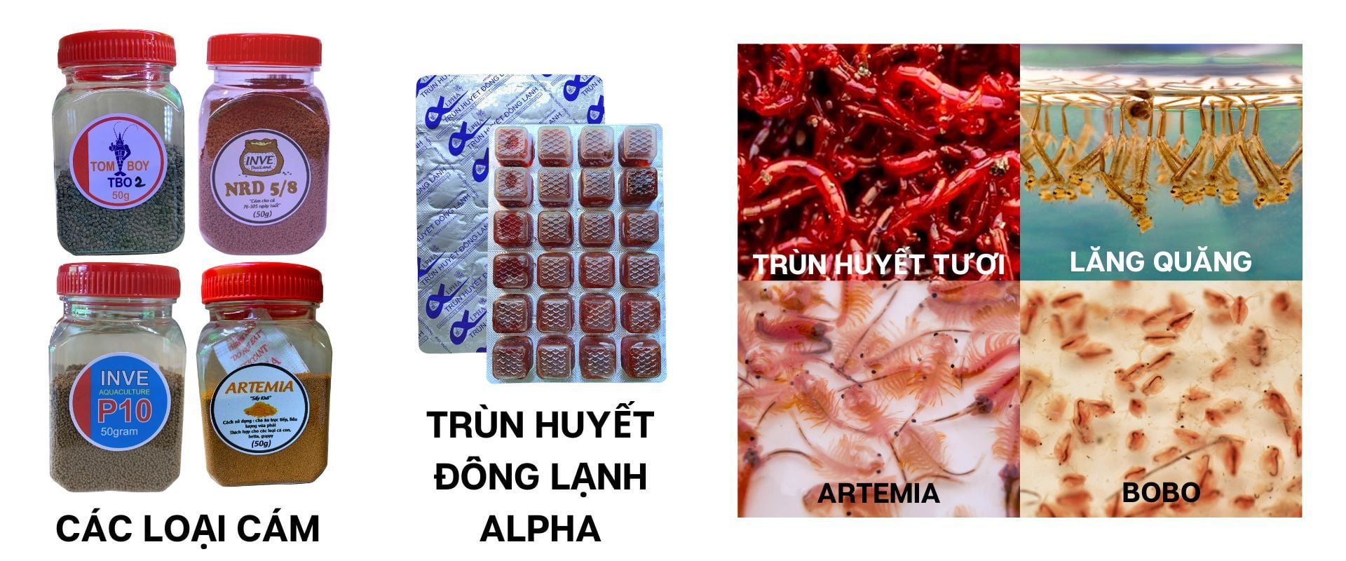 THỨC ĂN CHO CÁ BETTA