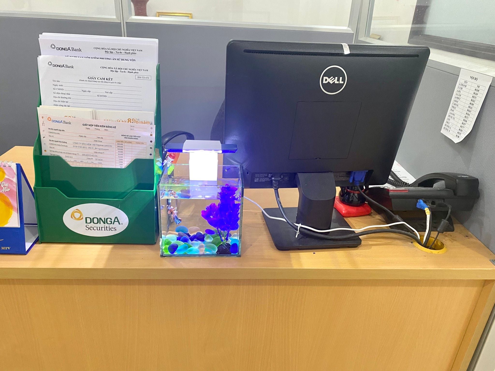 Bể cá mini | Bể cá Betta