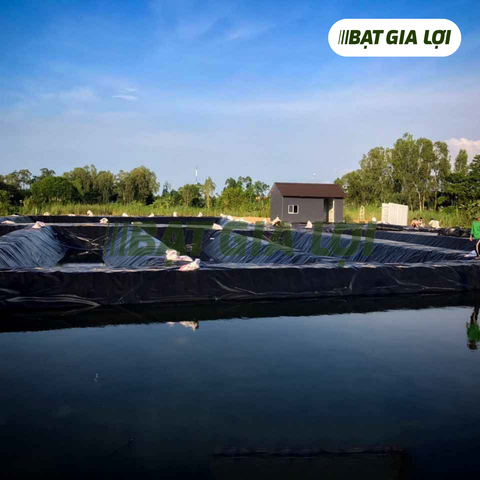 BẠT LÓT HỒ NUÔI TÔM CHẤT LƯỢNG - GIẢI PHÁP HIỆU QUẢ CHO NGƯỜI NUÔI TÔM