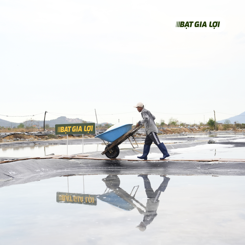 BÁO GIÁ MÀNG CHỐNG THẤM RUỘNG MUỐI PE