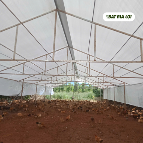 BẠT CHE CHUỒNG TRẠI VÀ CÁC TIÊU CHUẨN AN TOÀN CHO VẬT NUÔI