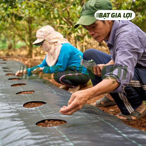LỢI ÍCH CỦA VIỆC SỬ DỤNG BẠT CHỐNG CỎ TRONG QUÁ TRÌNH TRỒNG CÂY