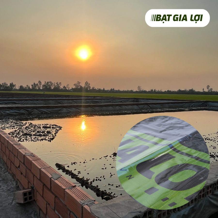 BẠT LÓT HỒ MEGA UV CHẤT LƯỢNG