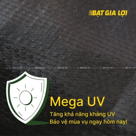 LỚP PHỦ METALIZE, KHÁNG UV CỦA BẠT MEGA UV CÓ Ý NGHĨA GÌ?