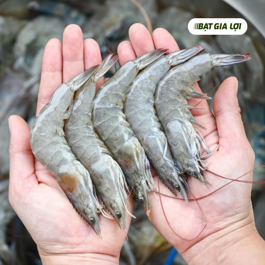 NHỮNG CÁCH TRỊ BỆNH MỀM VỎ Ở TÔM