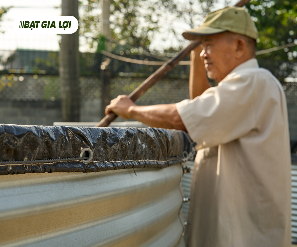 BÁO GIÁ BỂ BẠT NUÔI CÁ CHẤT LƯỢNG