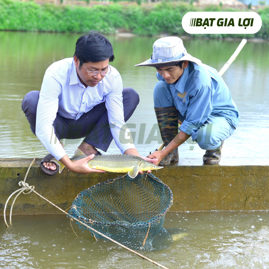 TOP 10 BIỆN PHÁP PHÒNG BỆNH CHO CÁ NUÔI