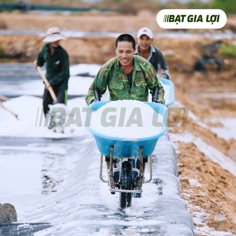 VỤ MÙA MUỐI BỘI THU, DIÊM DÂN NINH HÒA HÀO HỨNG THU HOẠCH