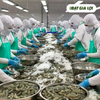 TÔM - SẢN PHẨM XUẤT KHẨU CHỦ LỰC CỦA NGÀNH THỦY SẢN VIỆT NAM