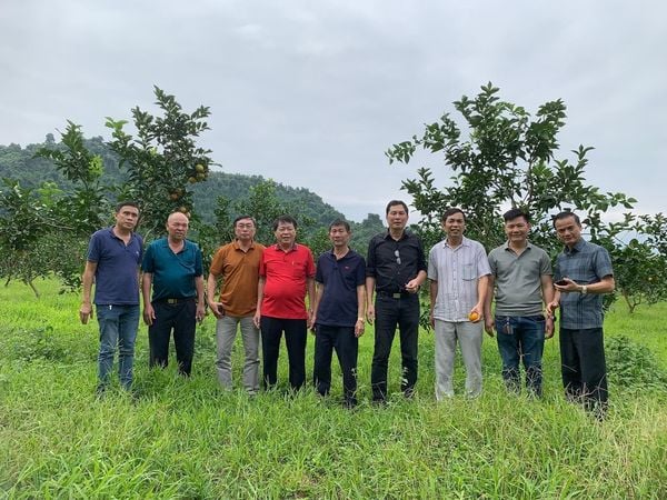 Nguyễn Quốc Huy - Anh Ba Huy giàu tình cảm trong khởi nghiệp