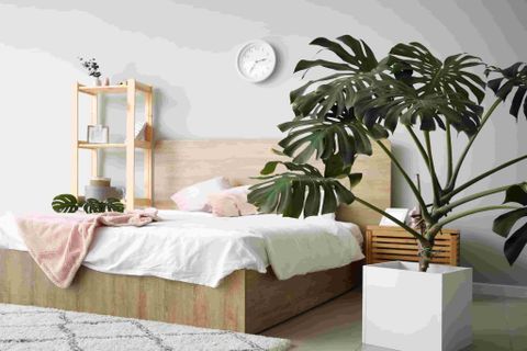 Bố trí phòng ngủ theo phong thủy: Tại sao lại cần thiết?