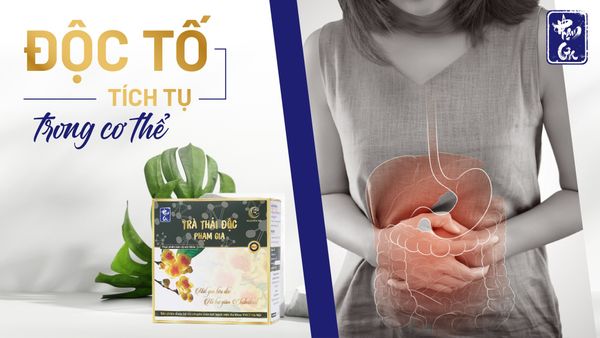 Độc tố trong cơ thể - Giải pháp thải độc bằng đông y
