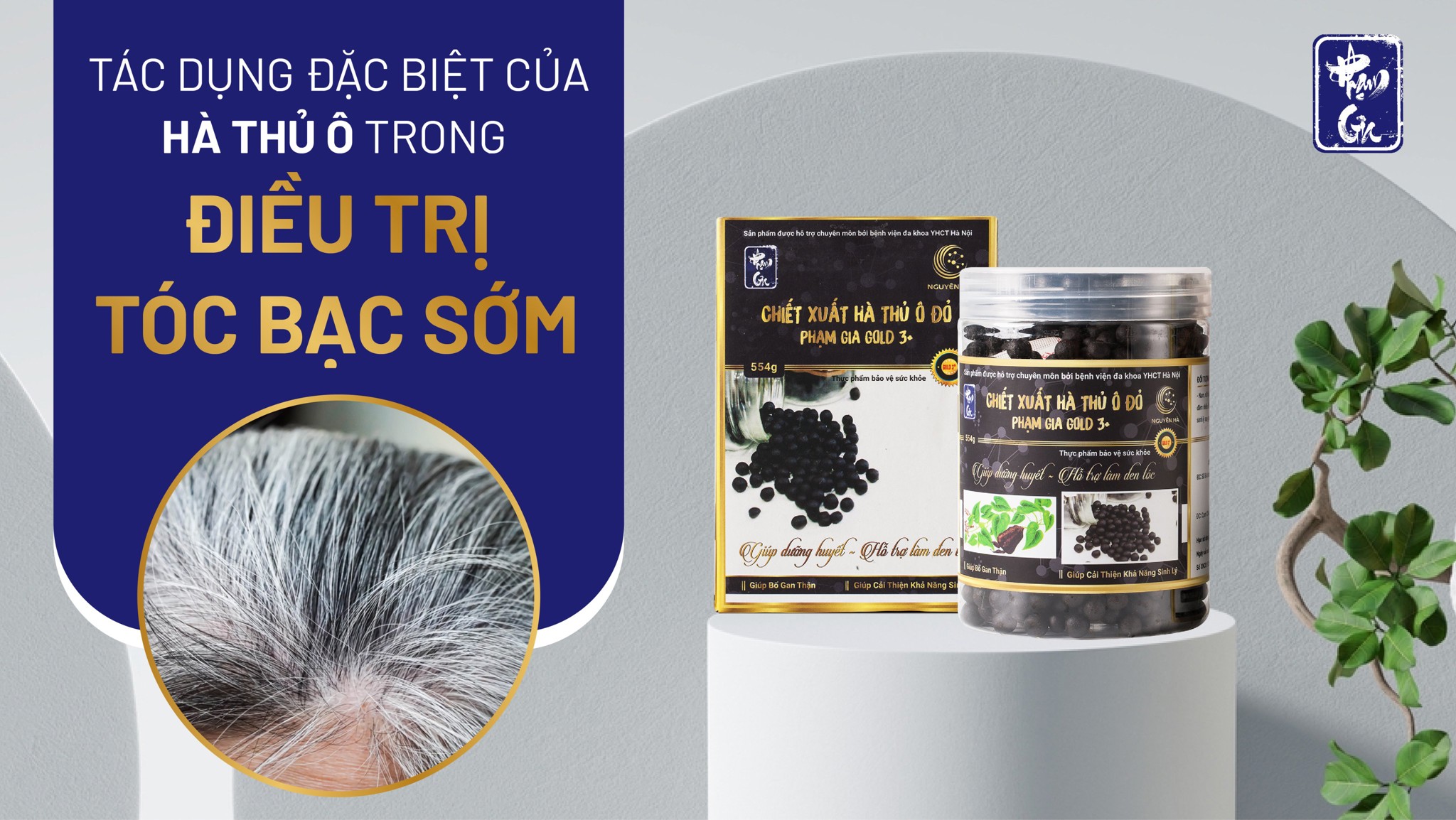 Tác dụng đặc biệt của hà thủ ô trong điều trị tóc bạc sớm