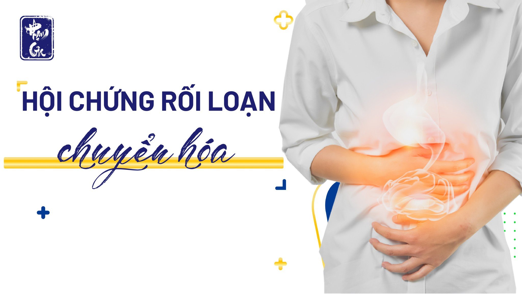Y học cổ truyền và hội chứng rối loạn chuyển hóa: Tổng quan, cơ chế, phân thể và điều trị