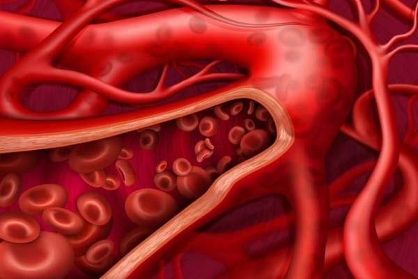 Người gầy khó tăng cân do khí huyết kém – Giải pháp nào?