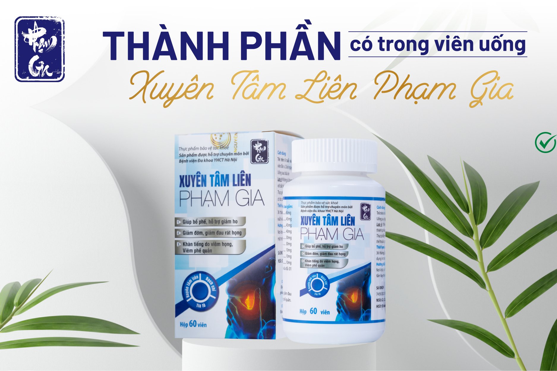 Điểm danh 9 thành phần trong Xuyên tâm liên Phạm Gia