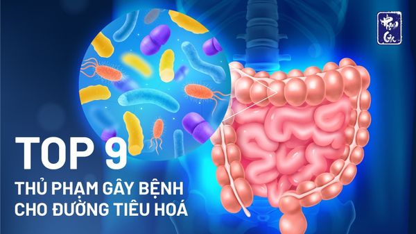 Top 9 nguyên nhân gây ra các bệnh cho đường tiêu hoá