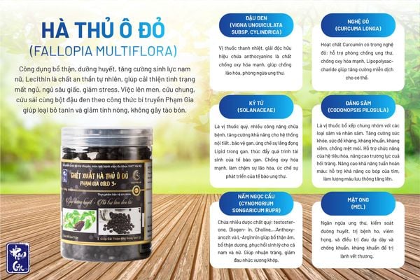 Với thành phần chính là hà thủ ô đỏ, Hà thủ ô đỏ Phạm Gia Gold3+ được nghiên cứu và sản xuất đặc biệt giúp bồi bổ cơ thể và tăng sức đề kháng