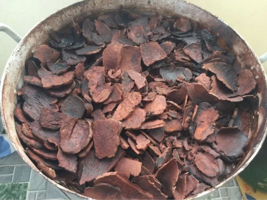Công dụng của Hà thủ ô đỏ