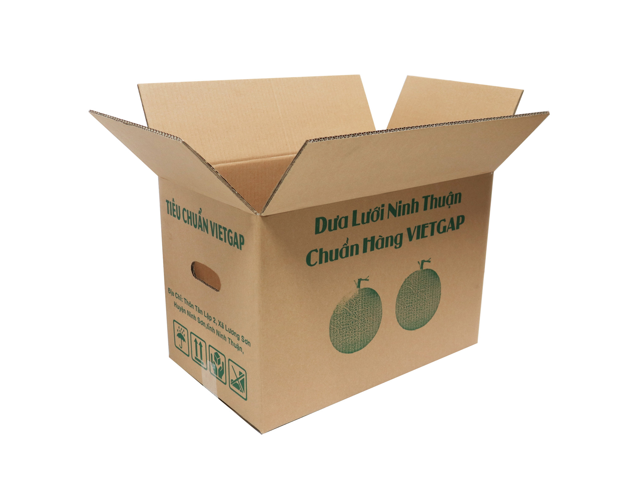 Top 3 công ty sản xuất thùng carton xuất khẩu trái cây tại TPHCM