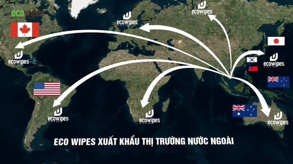 Công ty sản xuất khăn ướt xuất khẩu Mỹ - EcoWipes Việt Nam