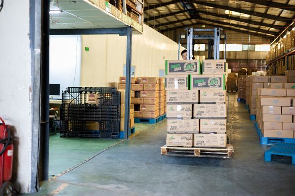 Phân phối sỉ khăn ướt giá cạnh tranh nhất TPHCM