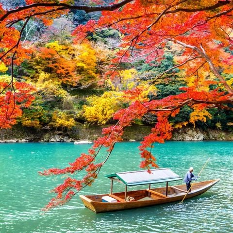 Thời Tiết Cửu Trại Câu Tháng 10, 11: Mùa Lá Vàng Lá Đỏ Đẹp Như Tranh