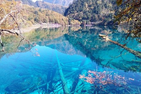 10 Điểm Check-in Đẹp Nhất Cửu Trại Câu Cho Dân Mê Sống Ảo