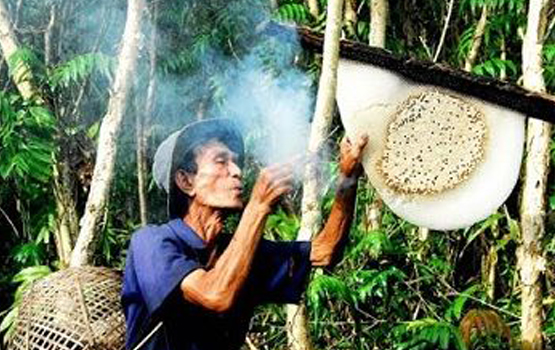 Khám Phá Vẽ Đẹp Thiên Nhiên Kỳ Bí Rừng U Minh Hạ Cà Mau
