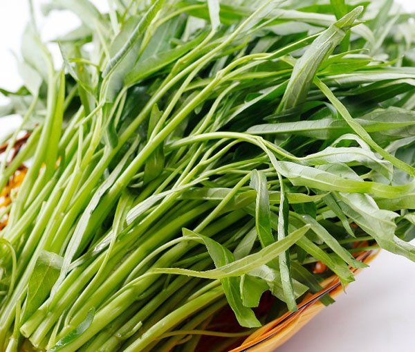 những món ăn giàu chất chống oxy hóa tốt cho sức khỏe