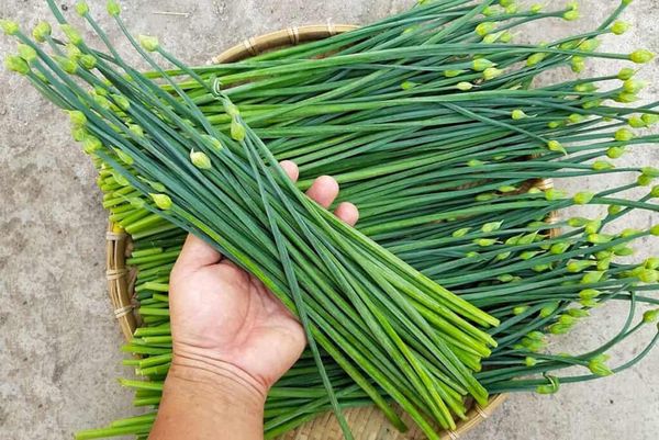 những món ăn giàu chất chống oxy hóa tốt cho sức khỏe
