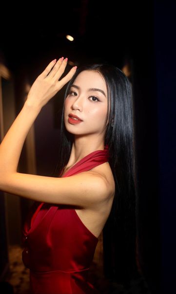 Phạm thị tú trinh thí sinh miss world việt nam 2023