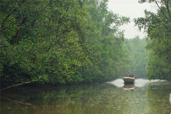 đất mũi cà mau