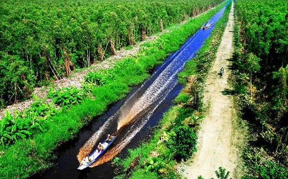 Rừng u minh hạ cà mau