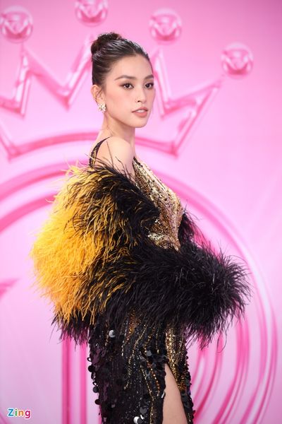 hoa hậu huỳnh thị thanh thủy